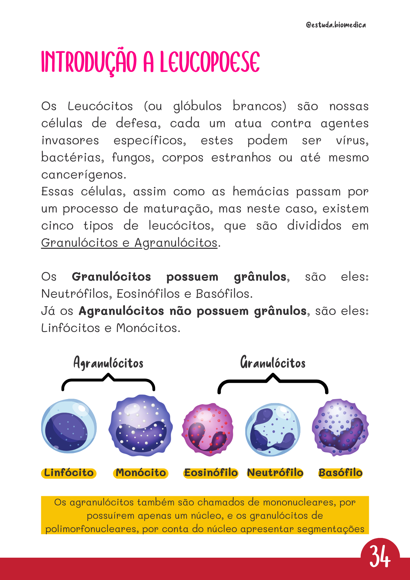 Amostra