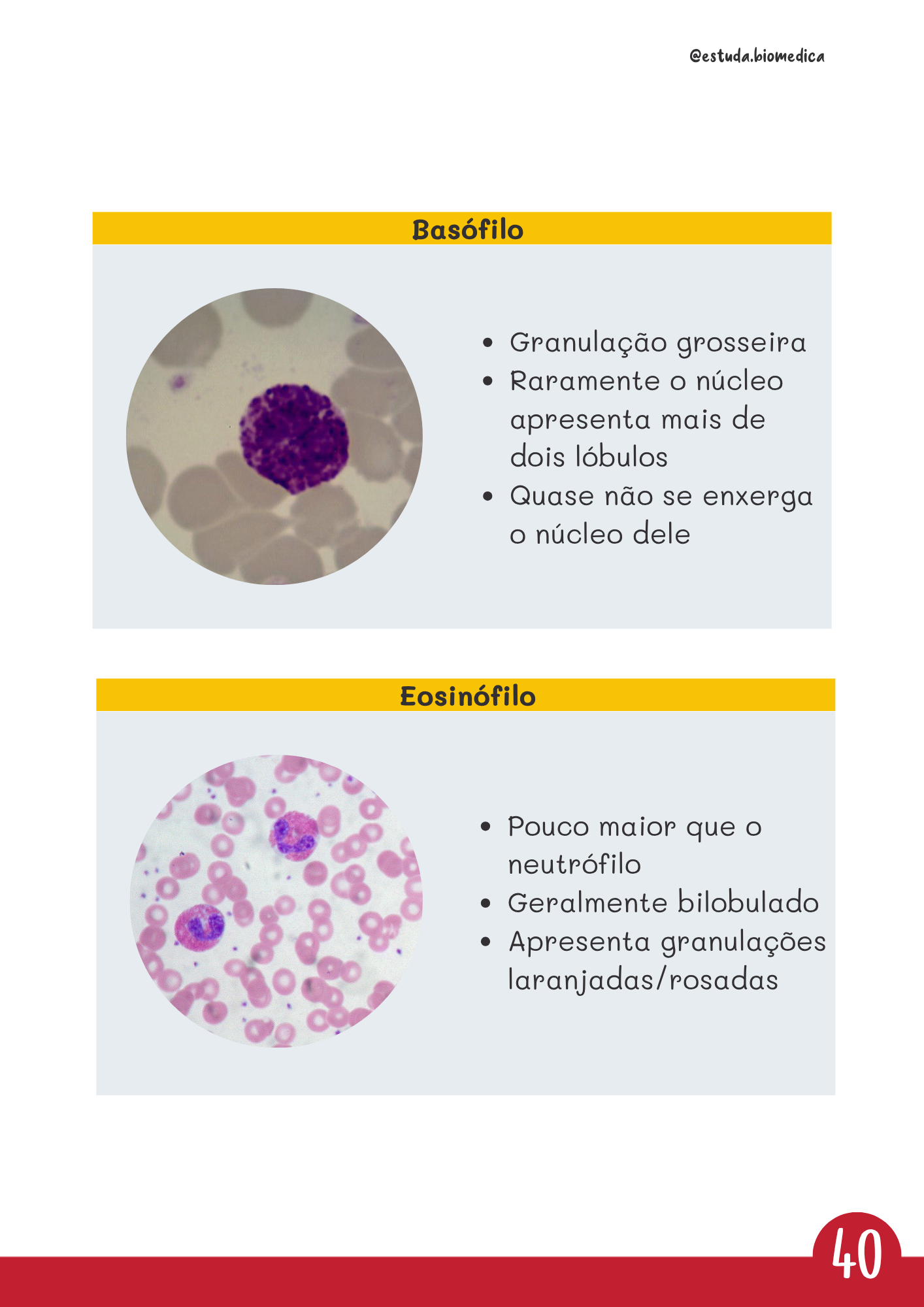 Amostra