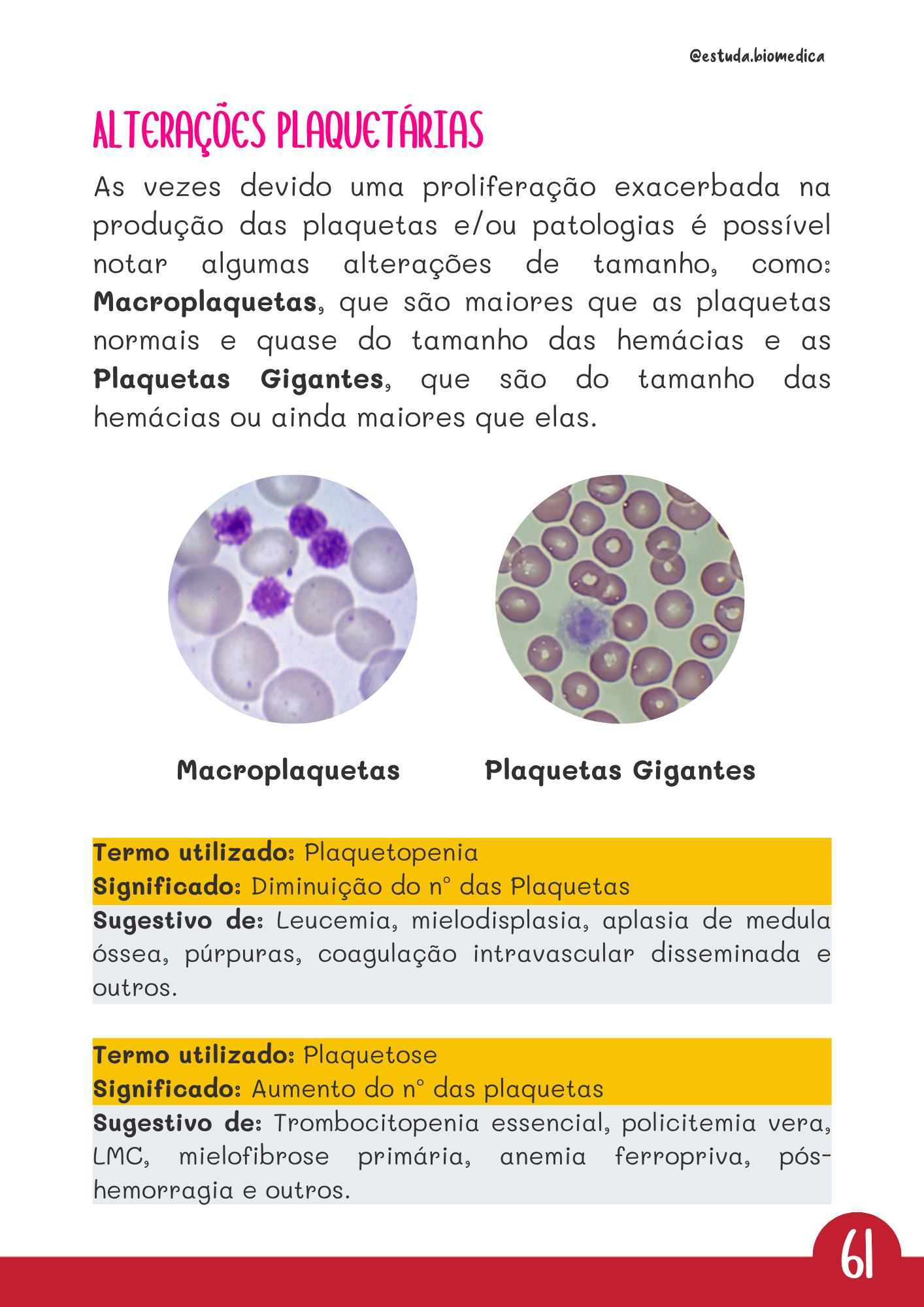 Amostra