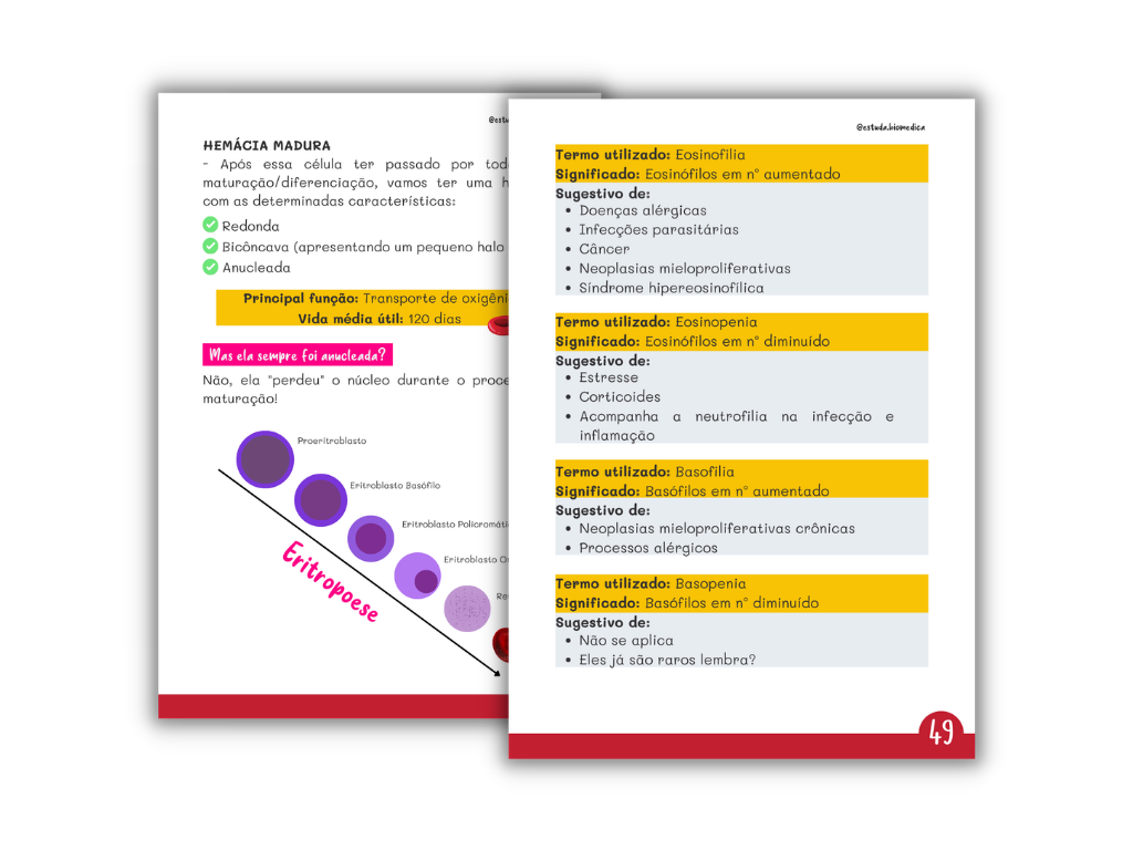 Resumo de Hematologia, e-book