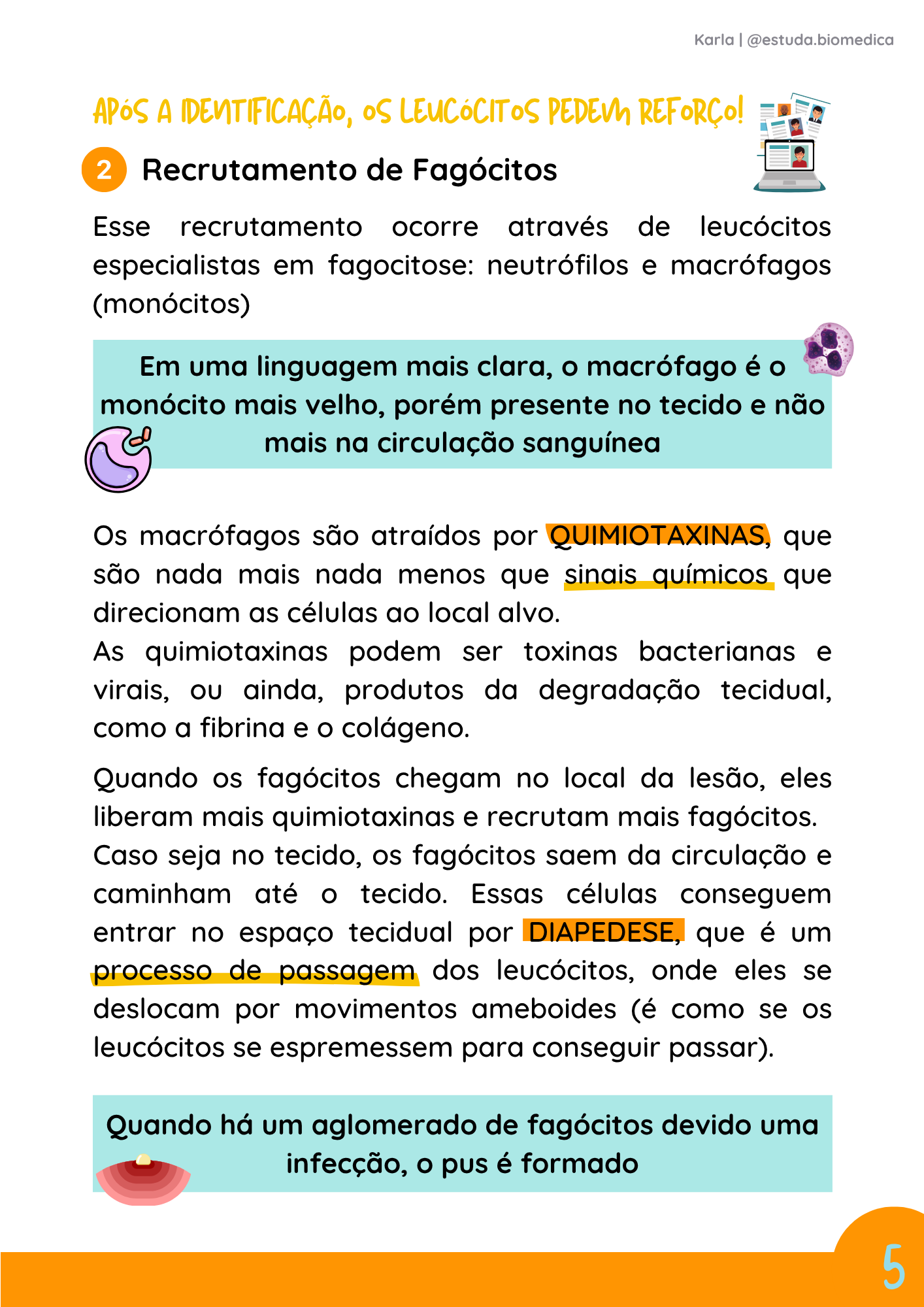 Amostra