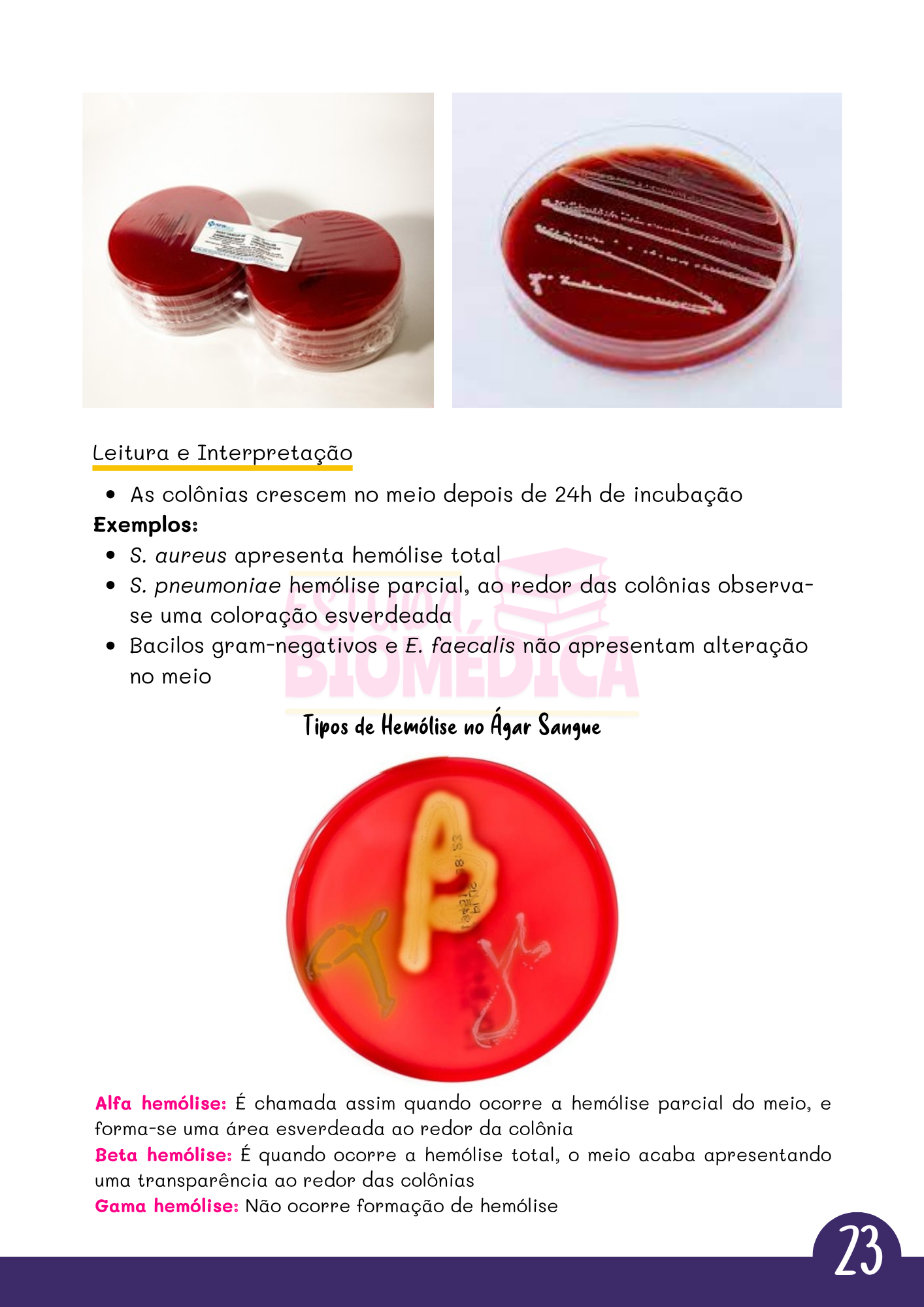 Amostra