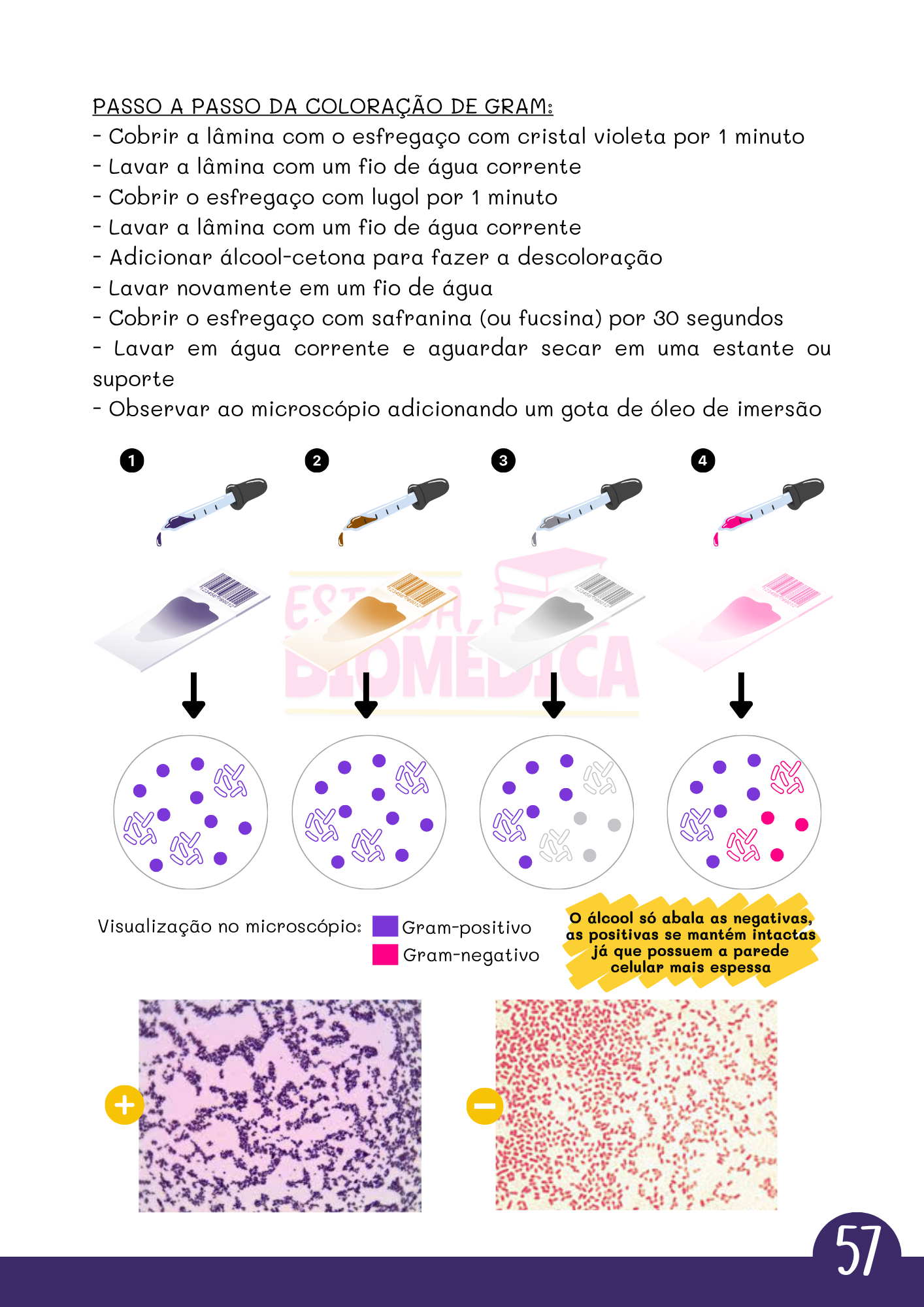 Amostra