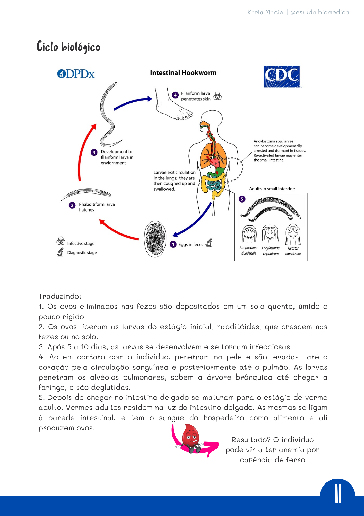 Amostra