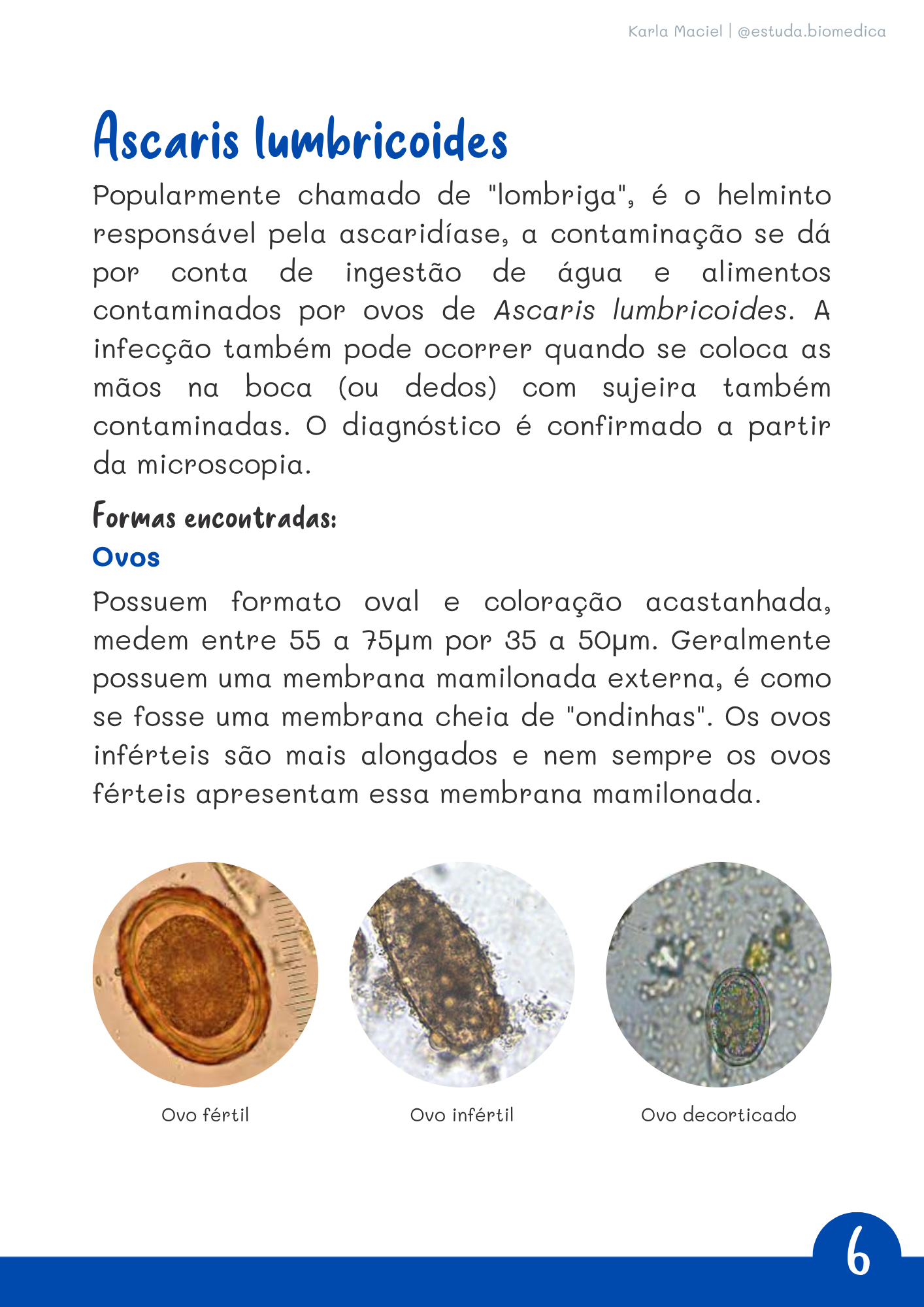 Amostra