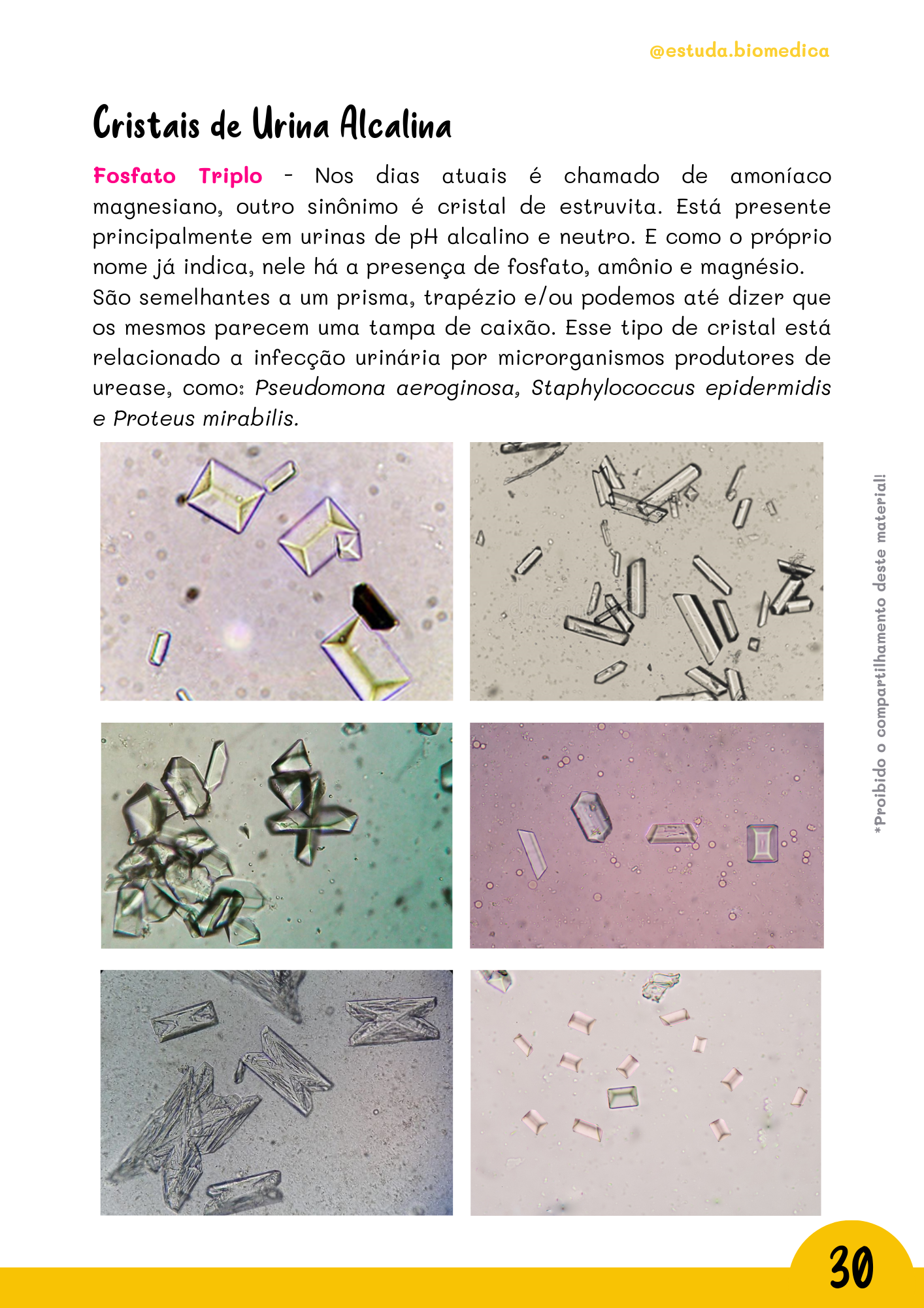Amostra